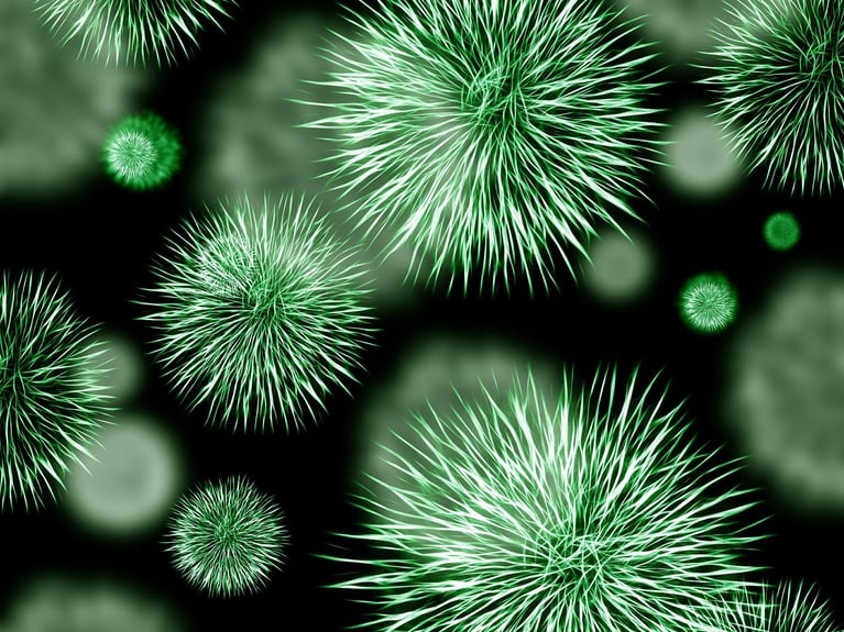 Germ of an idea: how lateral thinking led to niche coverage