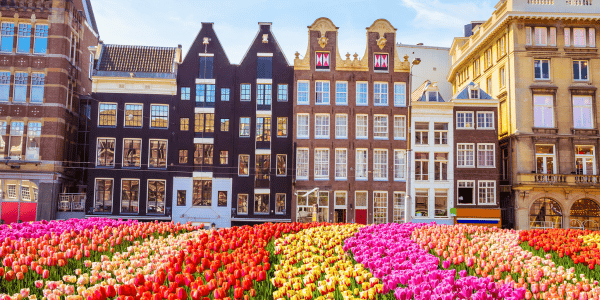 flowers in Amsterdam