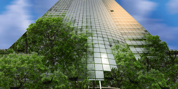 trees office building