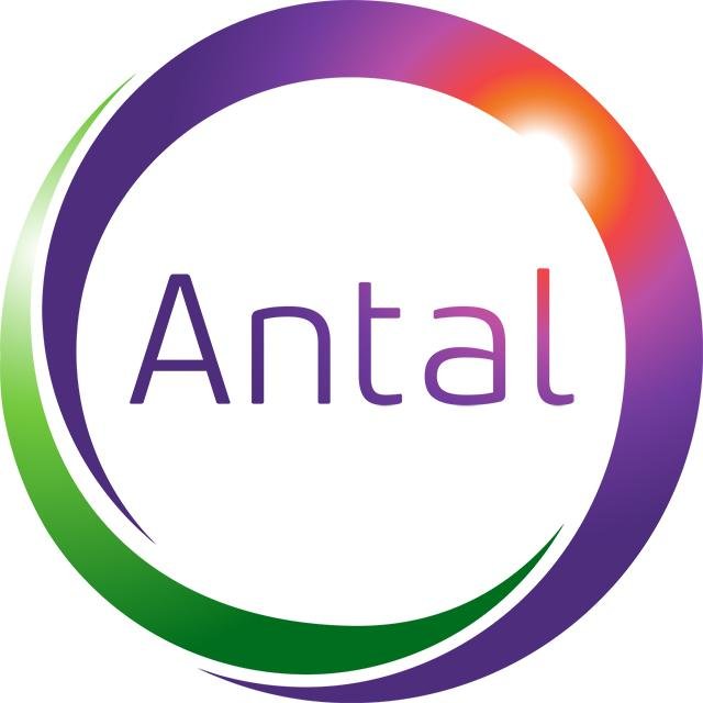 Q&A: Antal International