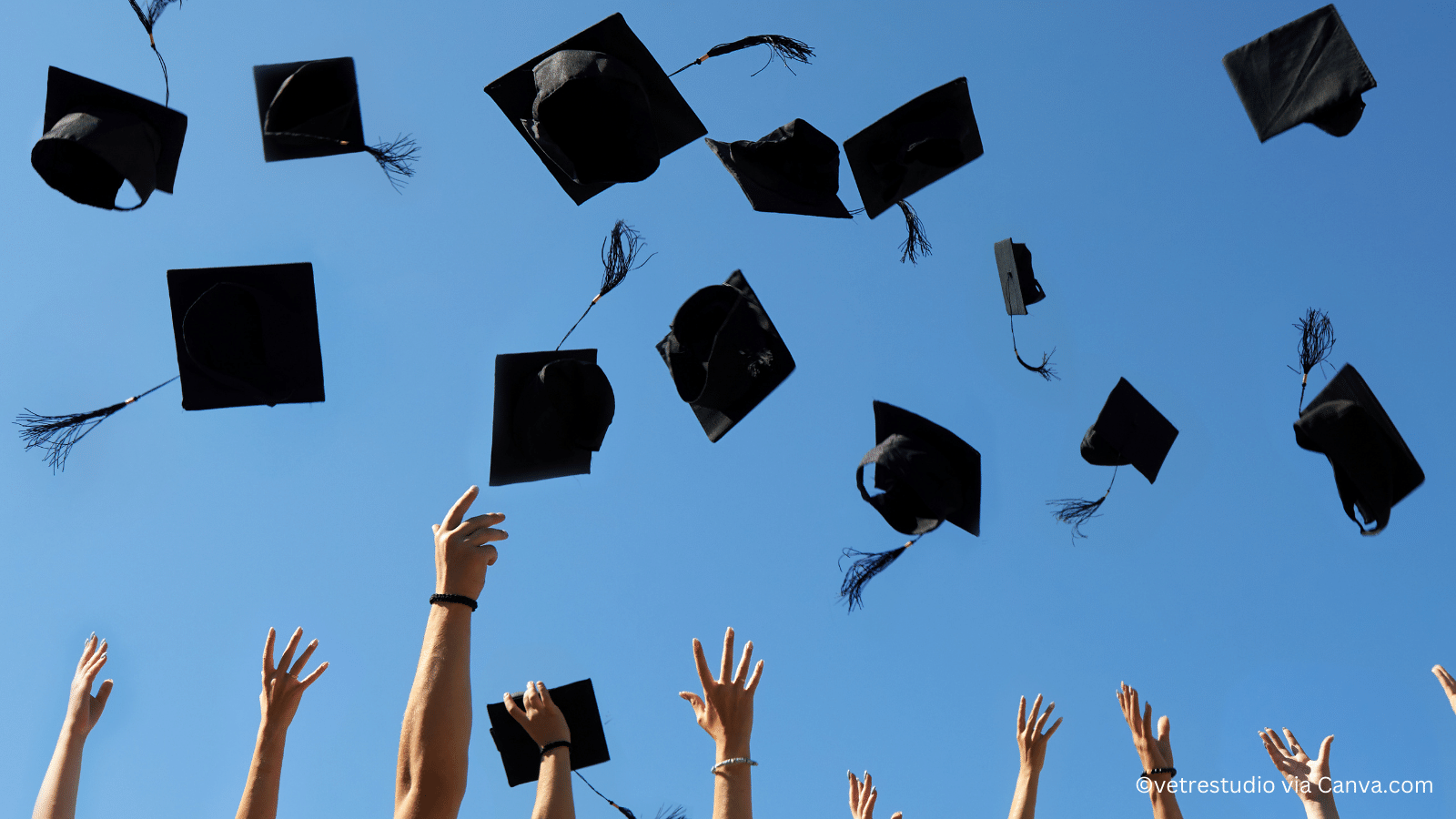 Why alumni are essential to your PR strategy | BlueSky Education