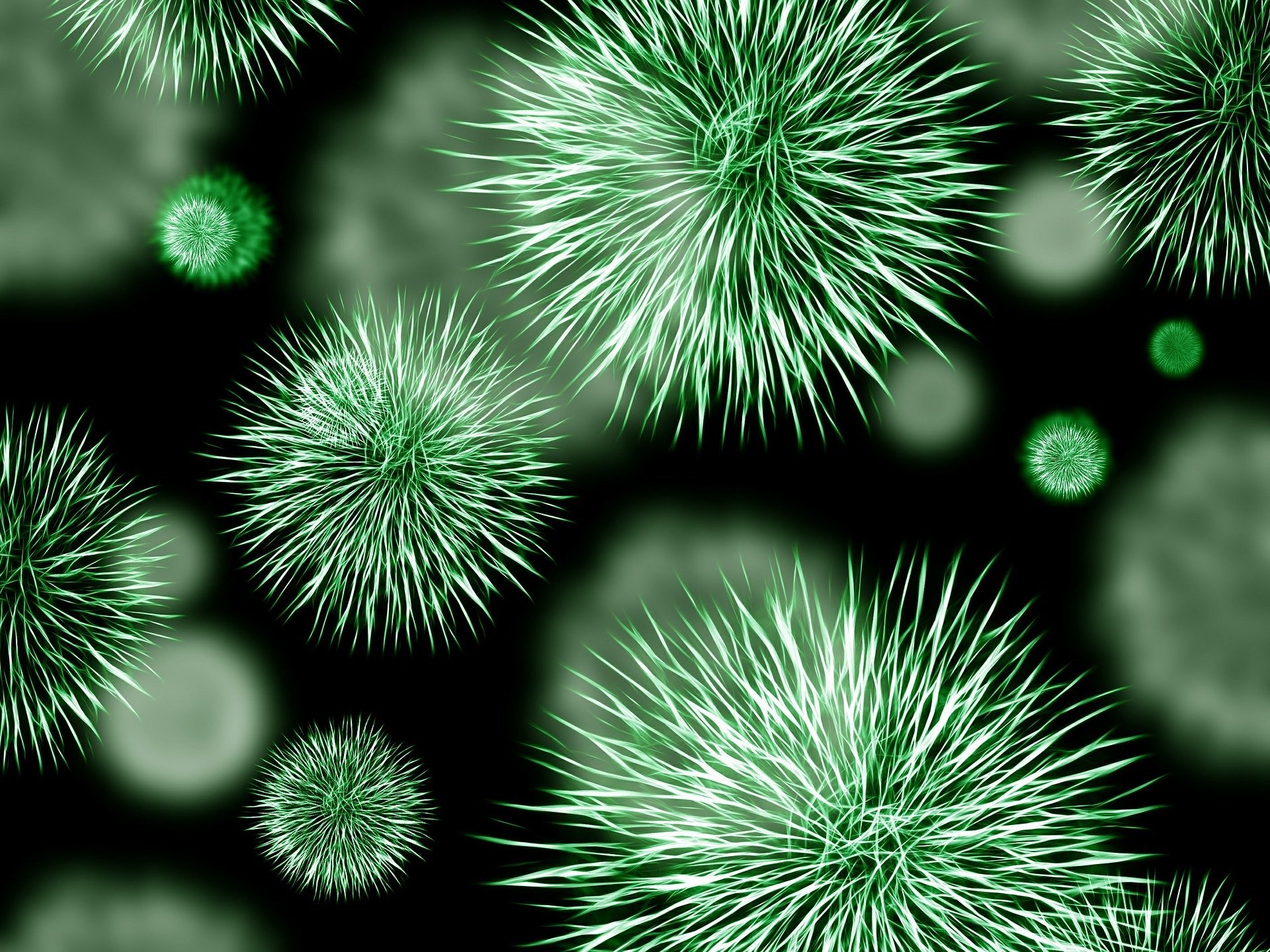 Germ of an idea: how lateral thinking led to niche coverage