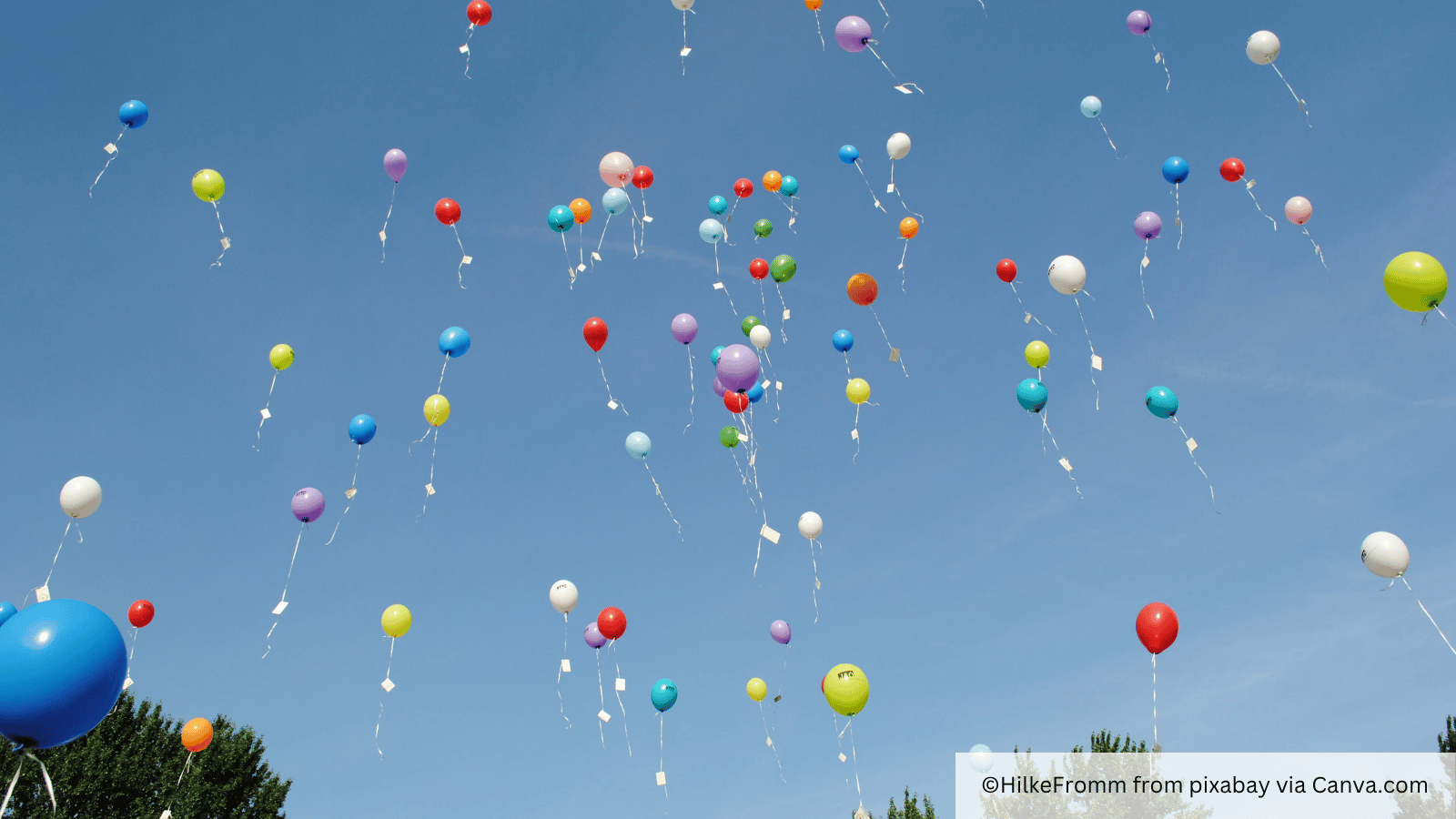 From Graduation to Purpose: My Journey with BlueSky Thinking